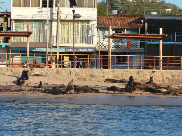 53- Une plage de Puerto Baquerizo Moreno 